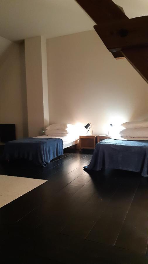 Villa Le Loft Sancergues Exterior foto
